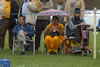 Vaisakhi mela 2008